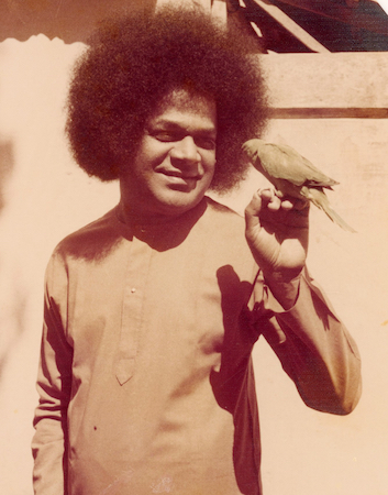 Beloved Bhagawan Sri Sathya Sai Baba